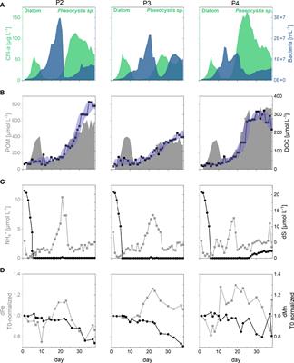 Rare earth element behaviour in seawater under the influence of organic matter cycling during a phytoplankton spring bloom – A mesocosm study